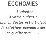 ÉCONOMIES  « S’adapter  à votre budget : Lignes Vertes est à l’affût  de solutions économiques et qualitatives... »